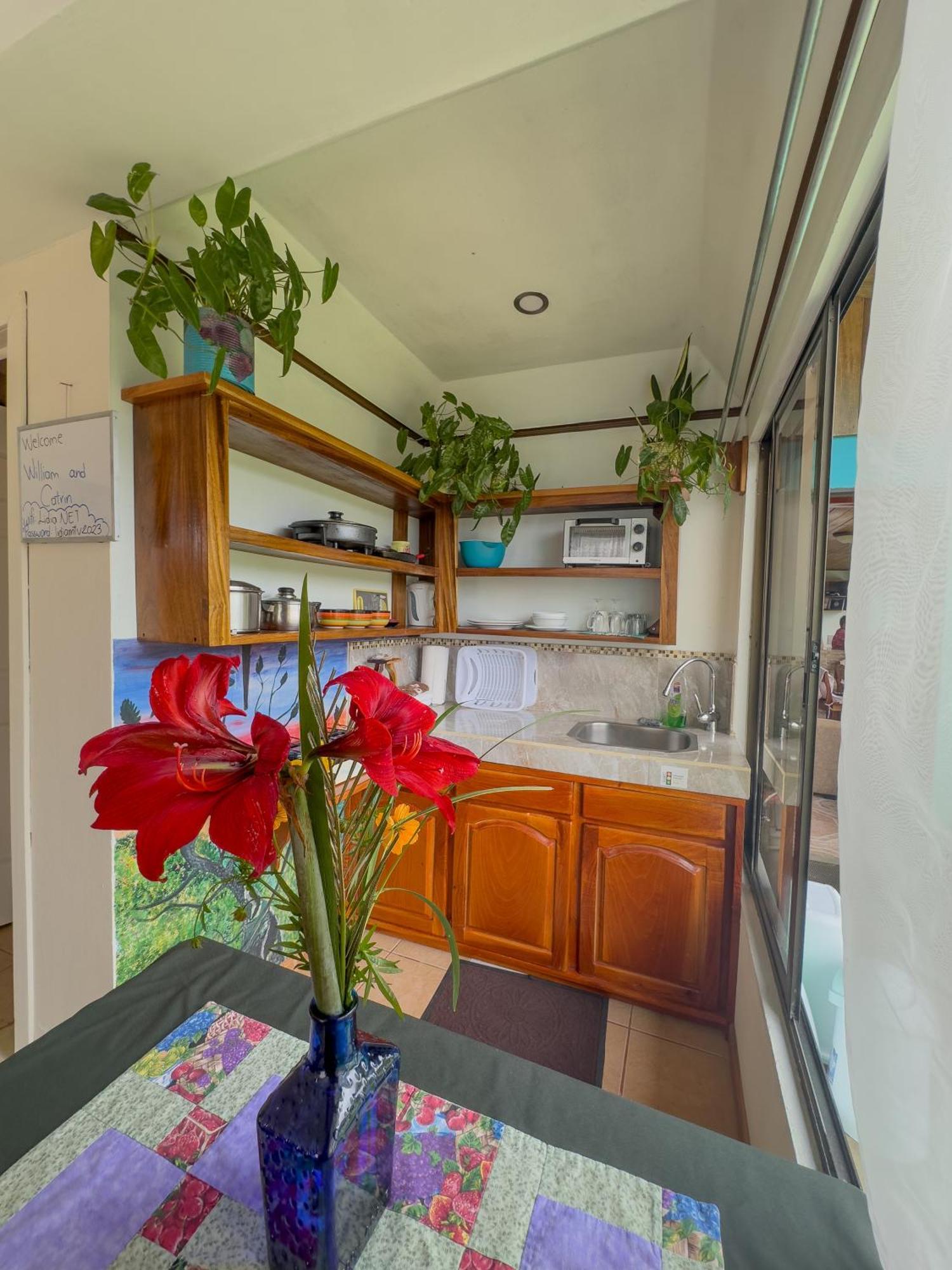 Lidia'S Mountain View Vacation Homes モンテベルデ エクステリア 写真